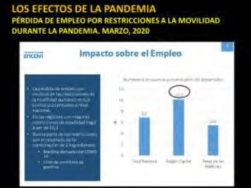 Figura 19. Pérdida de empleo por la Covid-19. F/ Encovi 2019-2020.