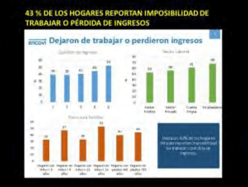 Figura 20. Desempleo y reducción de ingresos. F/ Encovi 2019-2020.
