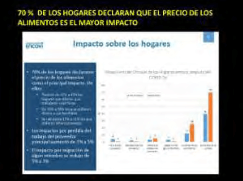 Figura 21. Impacto del precio de los alimentos. F/ Encovi 2019-2020.