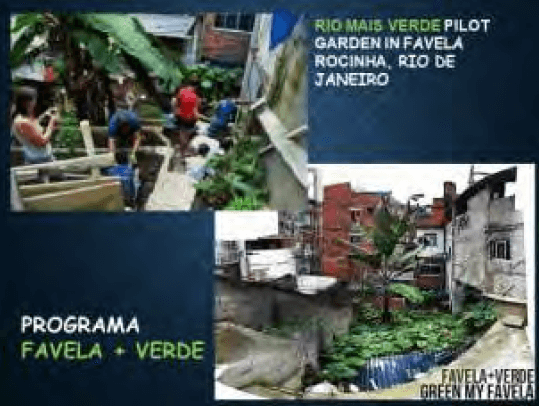 Figura 55. Río de Janeiro. Programa Favela-verde. Elaboración propia.